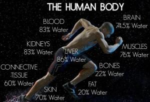 The-Human-Body-water